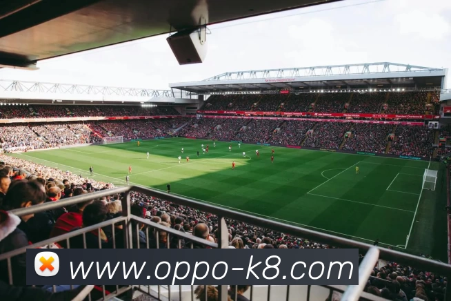 凯发娱乐平台生态图